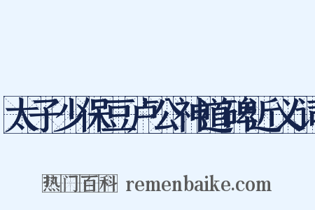 太子少保豆卢公神道碑近义词是什么意思的图片